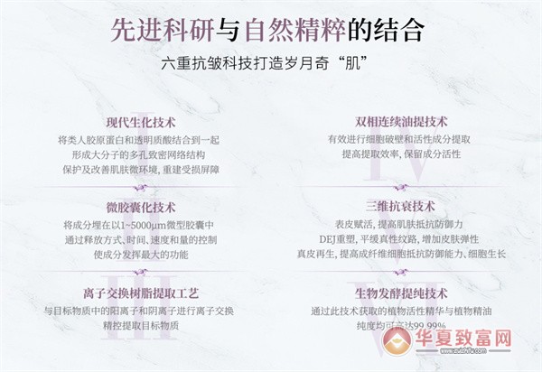 斑小将加盟